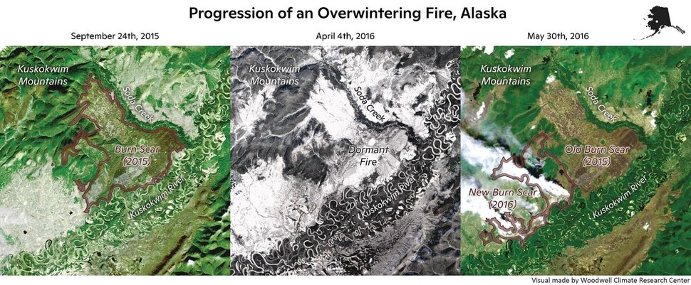 미국 알래스카의 ‘좀비산불’ 월동 3단계. 2015년 산불시기 끝무렵에 불이 꺼진 듯 보인다. 겨울 내내 산불이 났던 곳이 눈에 덮여 있다. 2016년 봄에 ‘좀비산불’이 다시 활동하기 시작했다. 우드웰기후연구소 제공