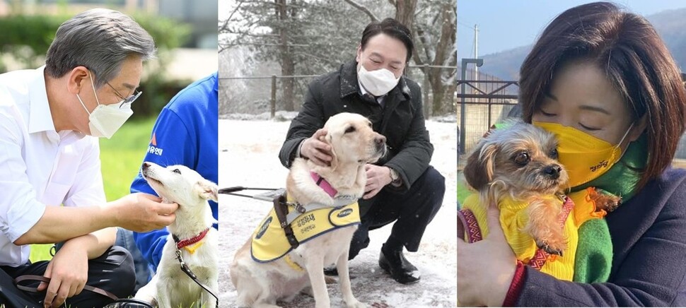 개 식용 문제는 오는 3월 대선에서도 동물권 핵심 쟁점으로 받아들여지고 있다. 개 식용 금지에 대한 여야 주요 대선후보들의 생각은 어떨까. 각 캠프, 연합뉴스 제공