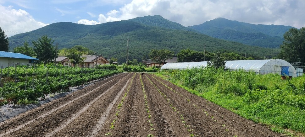 실상사 농장. 강부미 선생 제공