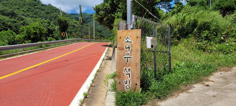 ‘소나무책방’ 입구 모습.