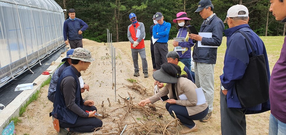 산림청 국립산림품종관리센터와 강원도 평창군 봉평면 태기산 주변 마을 주민 등이 다래·두릅 재배단지 조성에 앞서 묘목 등에 대해 상의하고 있다.