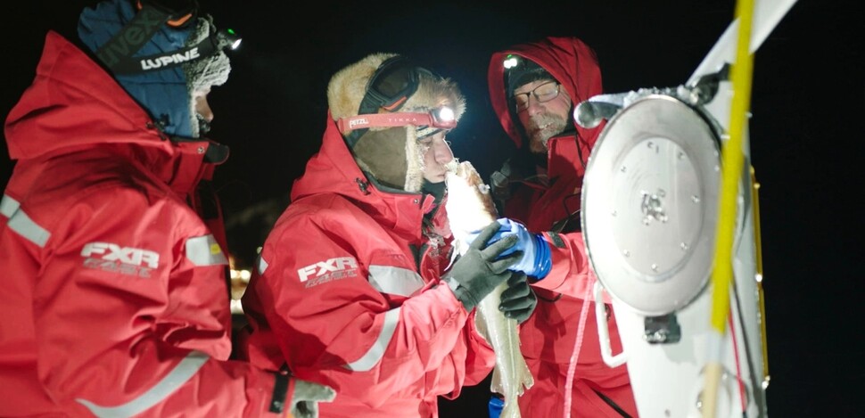 폴린 스노예스 레욘말름 교수(가운데) 등 연구팀이 중앙북극해 탐사중 대서양 대구를 포획해 살피고 있다. 스톡홀름대 제공