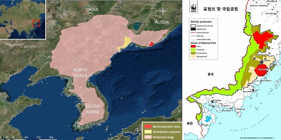 한국표범의 서식지 변천(왼쪽)과 ‘표범의 땅’ 국립공원. 원래 한반도가 중심이던 서식지(고동색)는 연해주 일대(노랑)로 좁혀졌다. 붉은 색은 추가 복원 대상지. ※ 이미지를 누르면 크게 볼 수 있습니다.