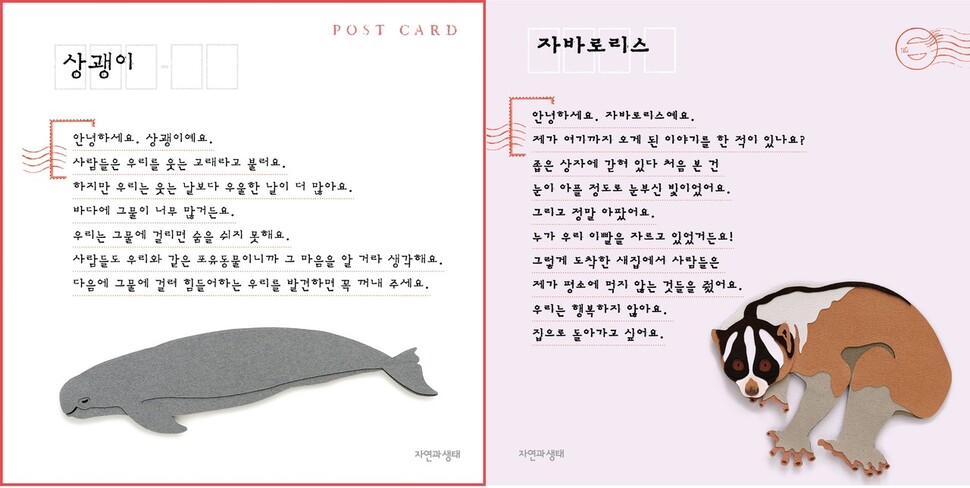 책 ‘편지가 왔어요-멸종 위기 동물이 인간에게 보내는’은 사람 때문에 사라졌거나 사라질 위기에 놓인 전 세계 동물의 현실을 인간에게 보내는 편지 형식으로 담아냈다. 자연과생태 제공 ※ 이미지를 누르면 크게 볼 수 있습니다.