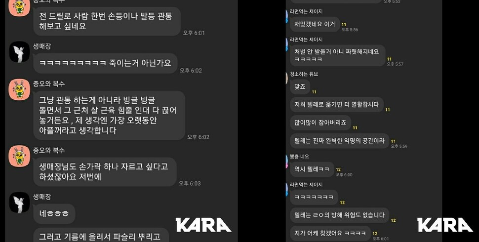 고어전문방 대화 갈무리. 카라 제공