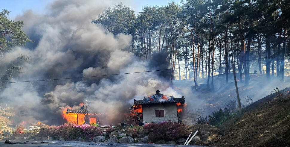 11일 오전 강원 강릉시 난곡동의 한 야산에서 불이 나 주택이 불에 타고 있다. 현재 강릉에는 강풍경보와 건조경보가 동시에 내려져 있다. 연합뉴스