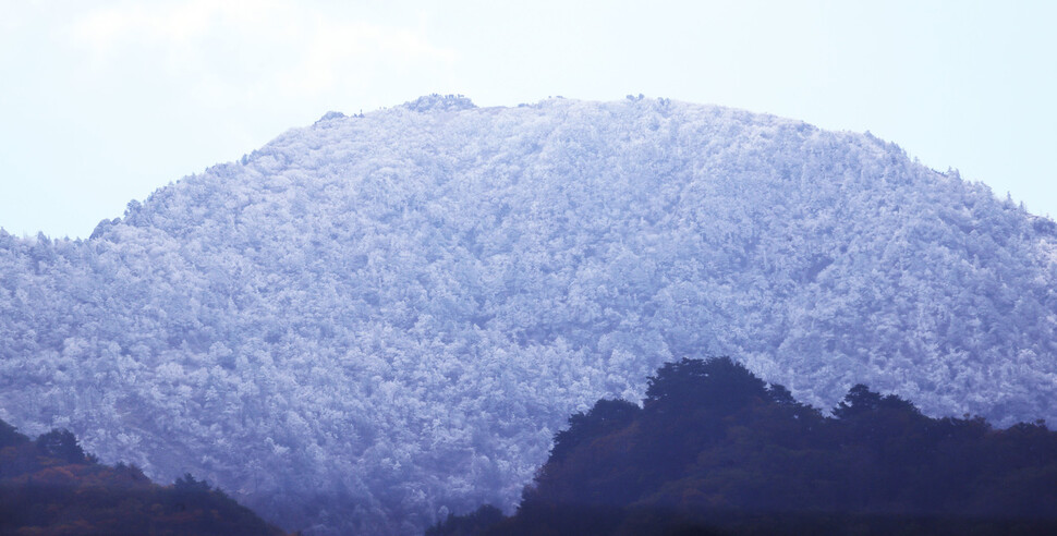 21일 지리산 천왕봉 부근에 올해 첫 상고대가 피어있다. 상고대는 영하의 대기 중에 있는 수증기가 나무 등 물체에 얼어붙어 마치 눈꽃처럼 핀 현상이다. 함양군 제공