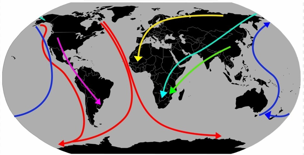 세계의 철새 이동 경로. 상당수가 열대폭풍의 길목과 겹친다. 위키미디어 코먼스 제공.