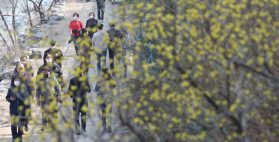 10일 낮 점심 시간을 맞은 직장인과 시민들이 서울 청계천 일대에서 산책을 하고 있다. 청계천 일대 곳곳에 산수유 꽃이 활짝 펴 있다. 백소아 기자