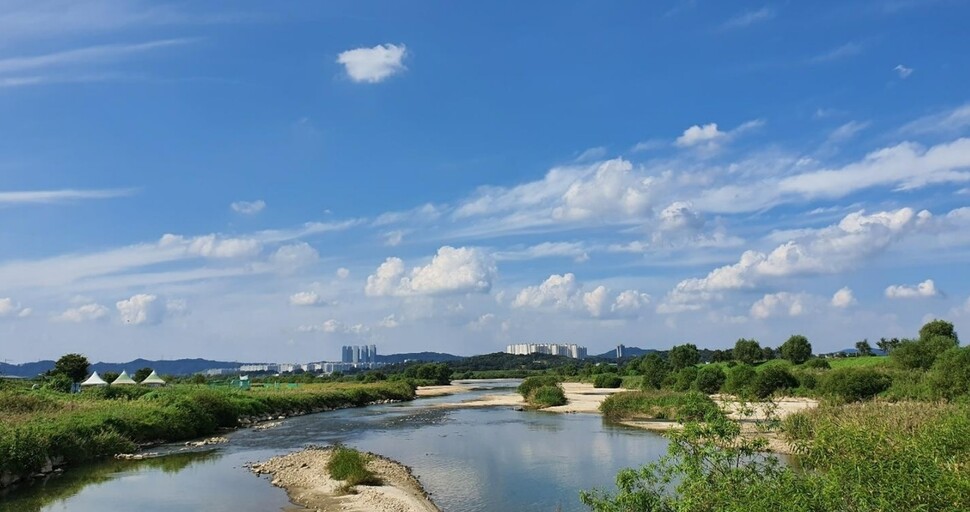 철새도래지 미호강. 풀꿈환경재단 제공