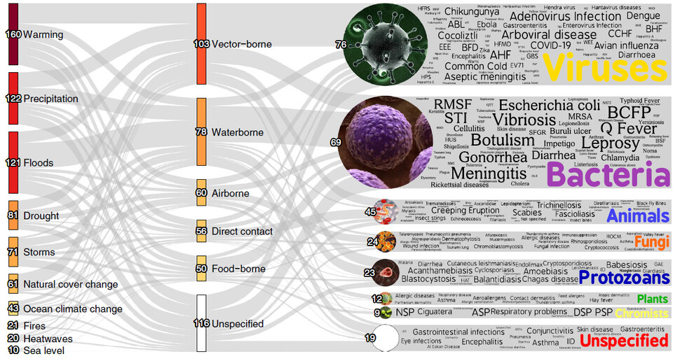 기후위험이 감염 유형을 통해 질환을 악화시키는 경로. 선의 굵기는 고유한 감염성 질병의 수를 나타낸다. 색상은 질병과 비례해, 어두운 색상은 많은 양을 나타내고 밝은 색상은 적은 양을 나타낸다. 숫자는 고유한 감염성 질병의 수를 나타낸다. ‘네이처 기후변화’ 제공