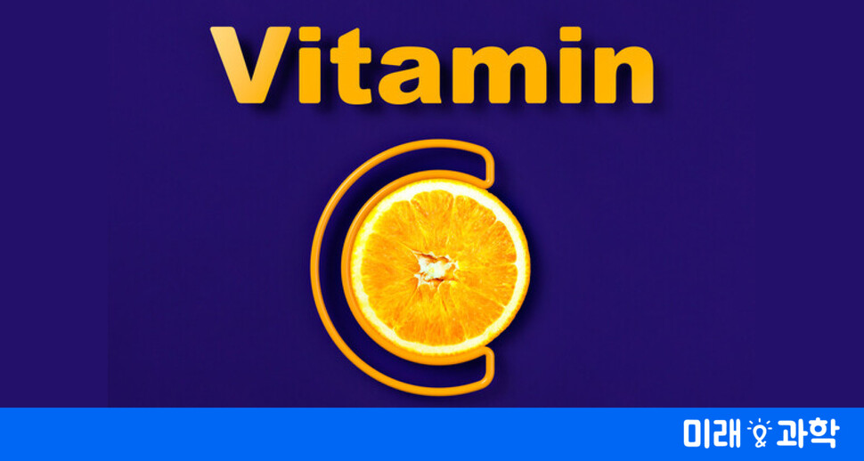 비타민 C 산화방지 물질 미국 특허 취득 : 과학 : 미래&과학 : 뉴스 : 한겨레