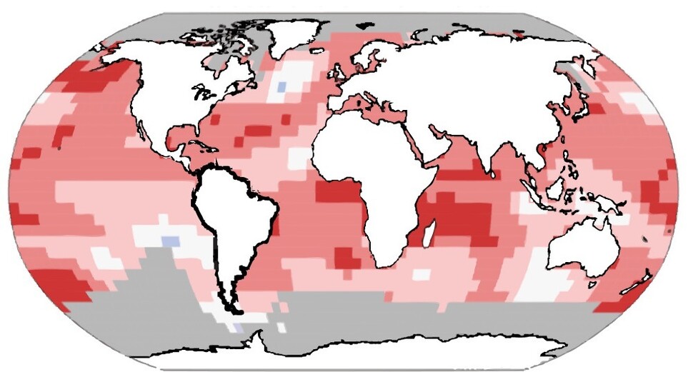 2019년 세계의 바다 표면 수온이 1981∼2010년 평균에 견줘 얼마나 높아졌나 보여주는 지도. 진한 붉은 빛일수록 높은 온도를 가리킨다. 케이브스 외 (2021) ‘왕립학회보 비’ 제공.