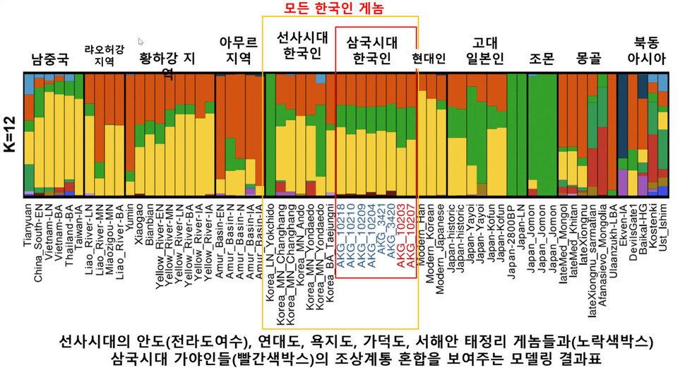 현대 한국인(빨간색 박스 옆 두번째 띠)은 조몬계 유전자(녹색)가 전혀 남아 있지 않은 데 비해 현대 일본인(빨간색 박스 옆 세번째 띠)에는 조몬계 유전자가 남아 있다. 가야인(빨간색 박스)들에는 조몬계가 들어 있는데, 특히 오른쪽 두개 띠(AKG-10203, 10207)의 경우 상대적으로 조몬계 더 큰 것으로 나타난다. 울산과학기술원(유니스트) 제공 ※ 이미지를 누르면 크게 볼 수 있습니다.