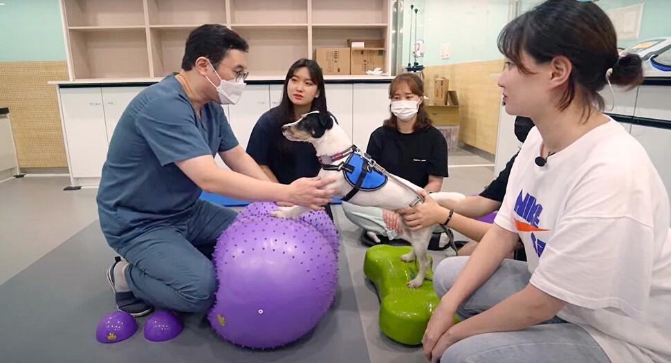 동물재활치료 실습을 진행하고 있는 엄세욱 교수와 동물보호계열 학생들. 연암대학교 제공