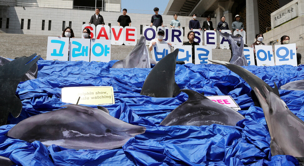 3일 오전 서울 종로구 세종문화회관 앞에서 열린 ‘전국 6곳 수족관 22마리 고래 바다 방류 촉구 캠페인 및 기자회견’에서 환경운동연합 바다위원회 회원들이 관련 행위극을 하고 있다. 김경호 선임기자