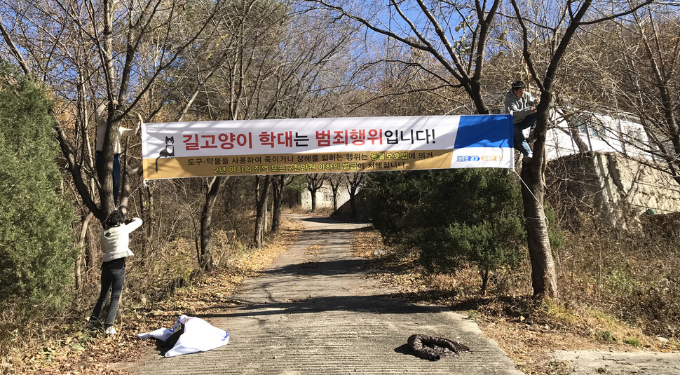 활동가들은 앞으로도 길고양이 인식개선과 동물학대 재발방지 활동을 펼칠 예정이다.