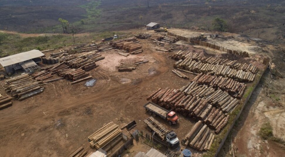 브라질, 1년새 ‘경기도 넓이’ 아마존 열대우림 파괴