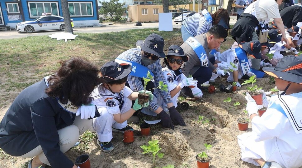 지난 9일 경상북도 포항시 월포해변에서 월포초등학교 학생과 병설유치원생 23명이 갯방풍과 번행초 등 염생식물을 심고 있다. 월포초등학교 제공