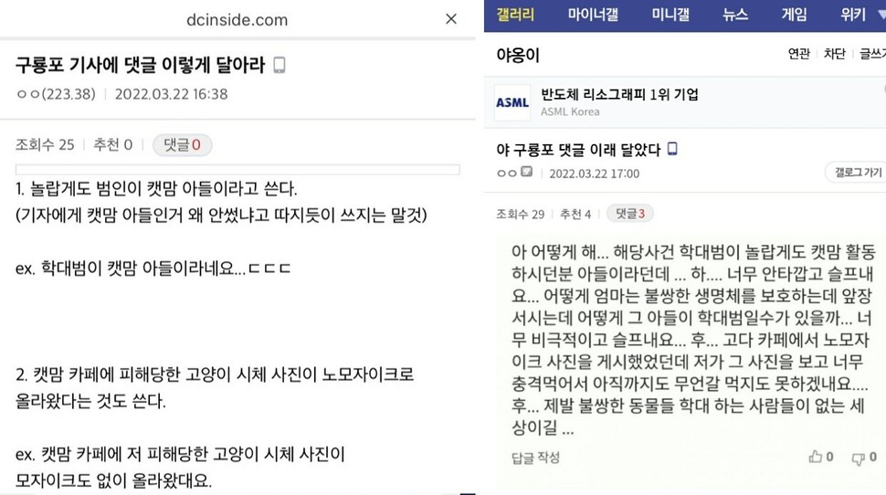 온라인 커뮤니티 디시인사이드에는 이번 사건에 ‘캣맘 프레임’을 씌워야 한다며 가짜뉴스를 게시하라는 글까지 나타났다.