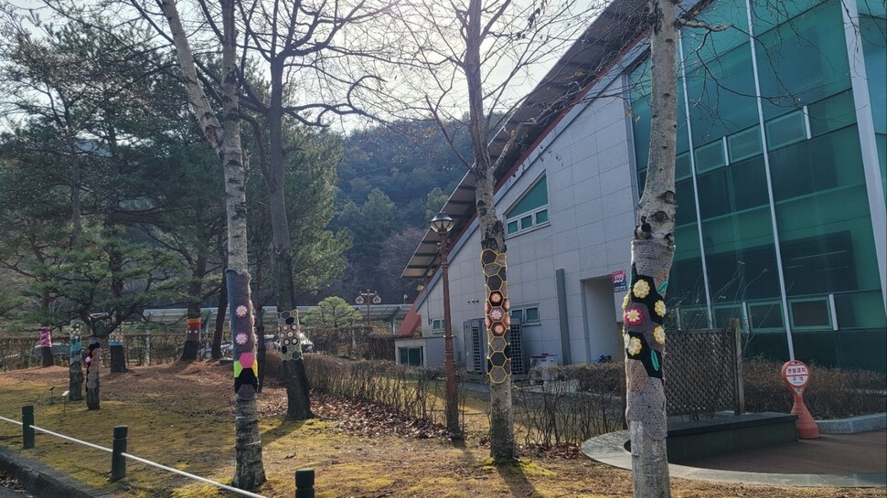 털옷 입은 미동산 수목원 나무. 충북도 제공