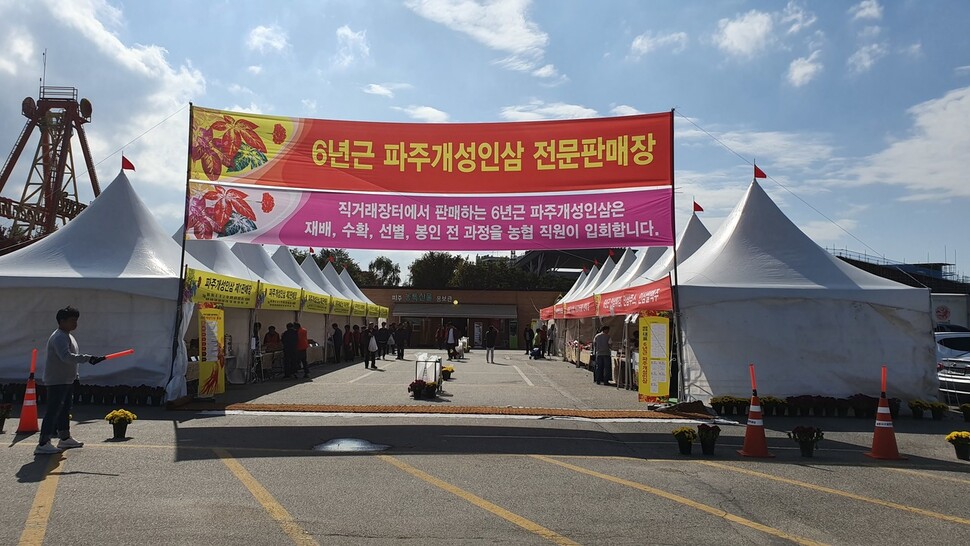 아프리카돼지열병 확산을 막기 위해 ‘제15회 파주개성인삼축제’를 취소한 경기 파주시가 지난 18~20일과 26~27일 임진각광장 임시부스에서 인삼을 판매하고 있다. 파주시 제공