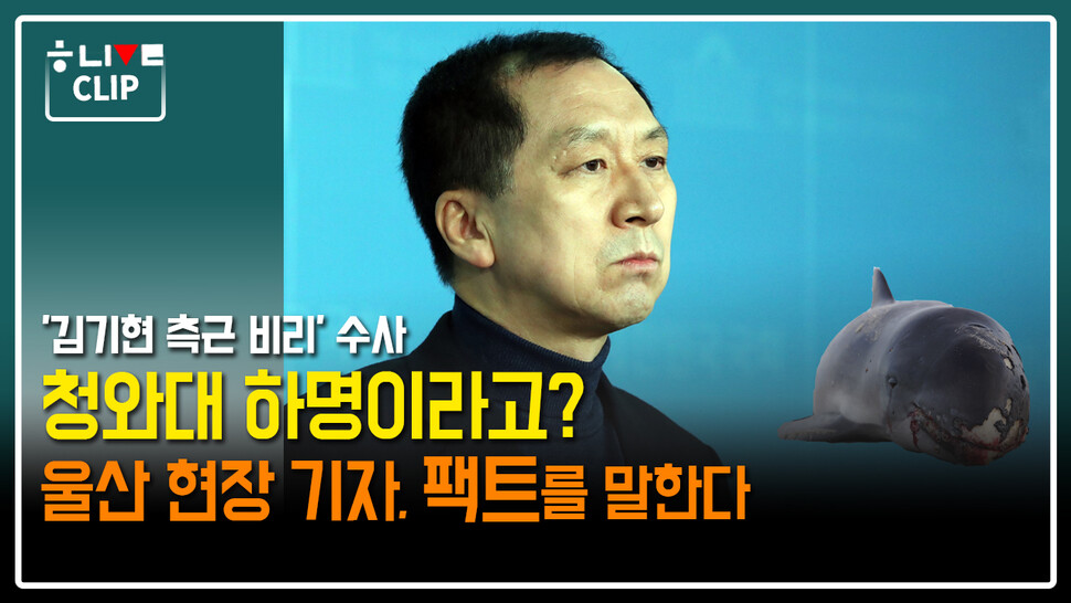 12월 5일 한겨레 라이브 클립. 한겨레TV