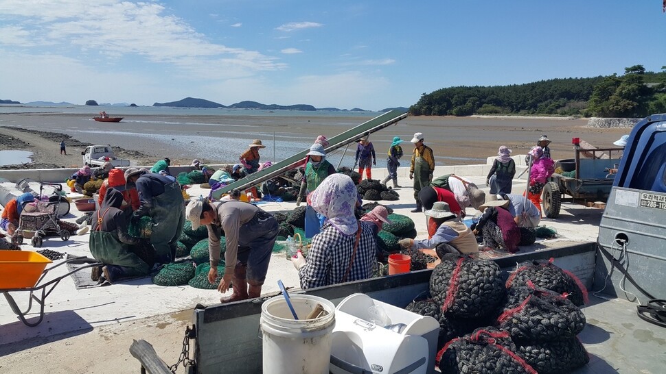 마을 노인 등에게 연간 300만원의 마을연금을 지급중인 충남 태안군 만수동 어촌계 모습. 전제능 어촌계장 제공