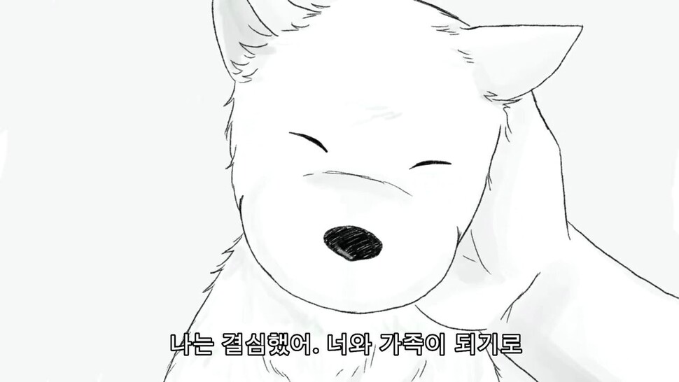 농림수산식품교육문화정보원이 최근 유실·유기동물 입양 활성화를 위한 공모전을 진행하고 4편의 수상작을 발표했다. 최우수상은 유기견 ‘또리’를 입양하며 삶에 색을 더해가는 과정을 표현한 작품 ‘나의 색’이 선정됐다. 농정원 제공