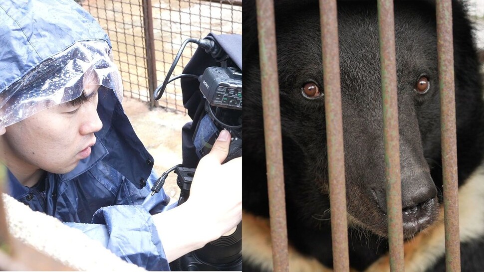 제작진은 동해 사육곰이 철창을 벗어나던 현장부터 미국 콜로라도에서의 방사까지 동행했고, 동해 곰 농가뿐 아니라 지난해 수차례 사고가 났던 여주, 용인 사육곰 농가를 찾는 등 사육곰이 처한 상황을 입체적으로 담으려고 노력했다. 곰마워 프로젝트 제공