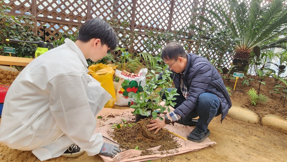 서울시 반려식물병원에서 분갈이를 하는 모습. 손지민 기자