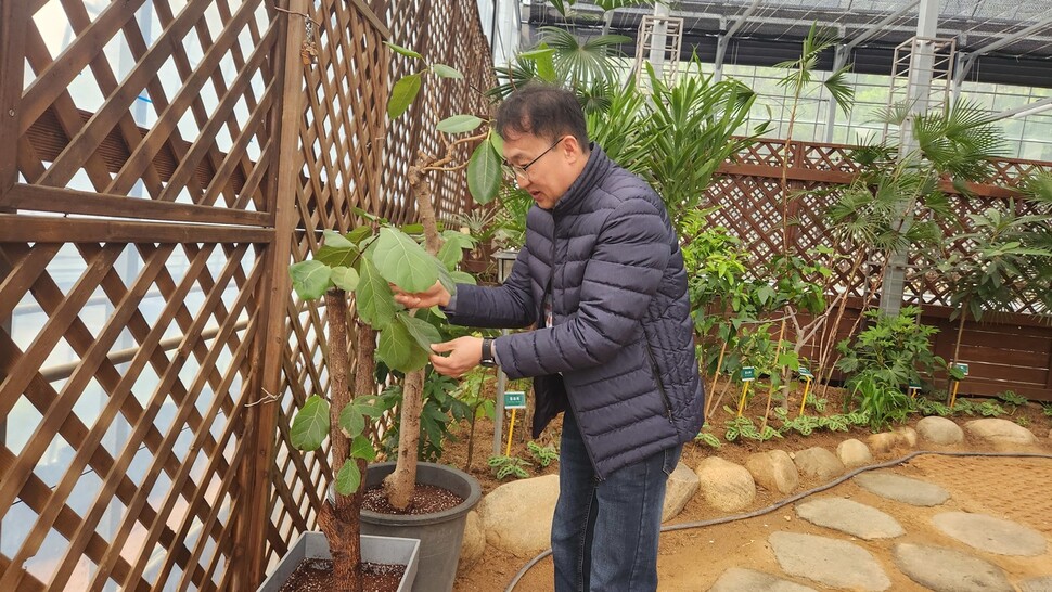 주재천 서울농업기술센터 환경농업팀장이 반려식물병원 입원실에서 식물의 상태를 살펴보고 있다. 손지민 기자