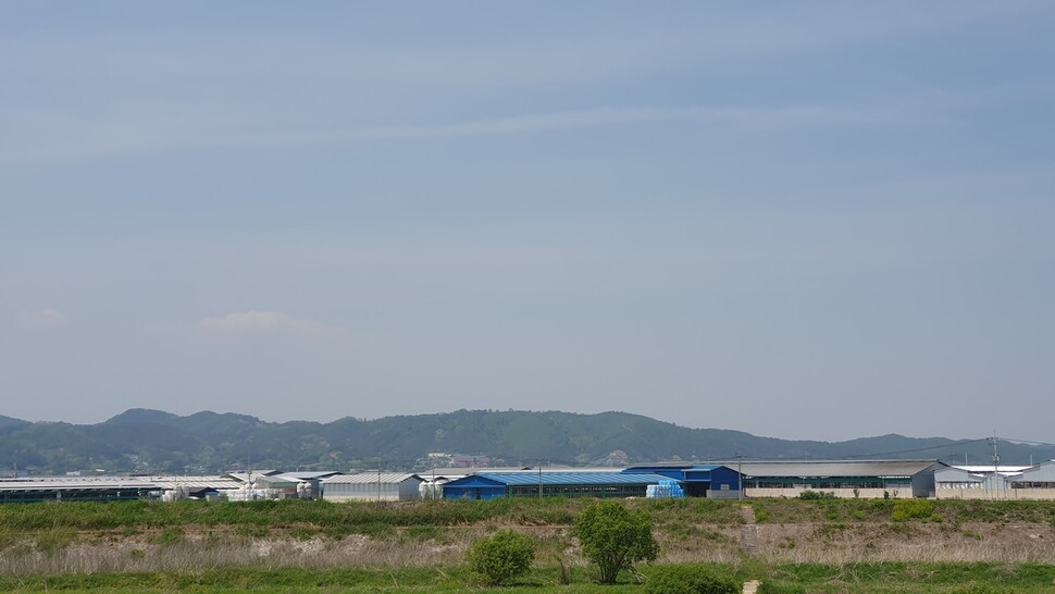 구제역이 발생한 충북 청주시 북이면 축산단지. 오윤주 기자