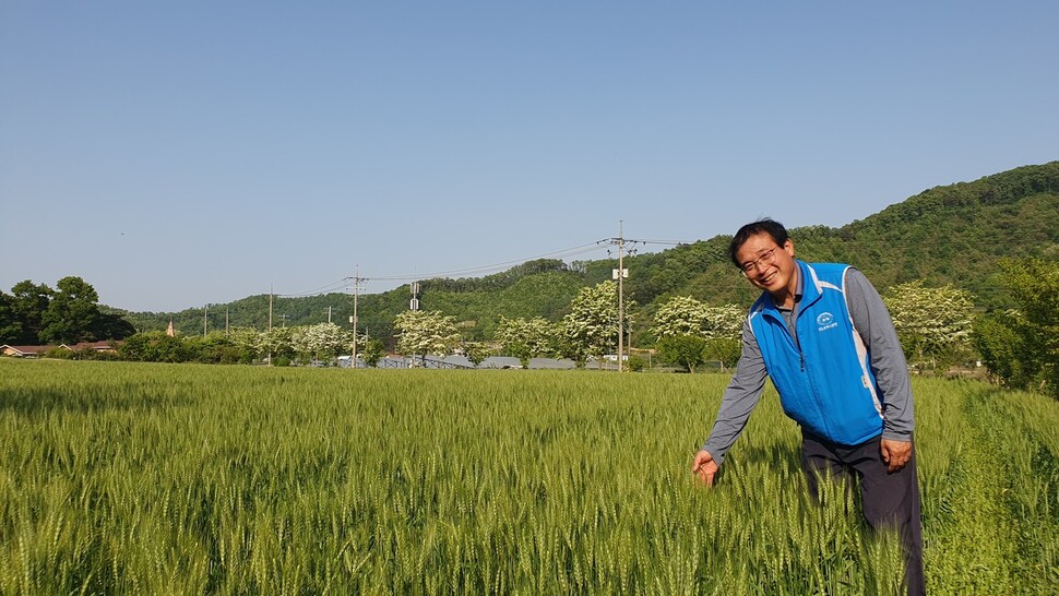 김희상 ‘미원 산골 마을 빵’ 대표가 16일 잘 자란 미원 들녘 밀을 보고 환하게 웃고 있다. 오윤주 기자