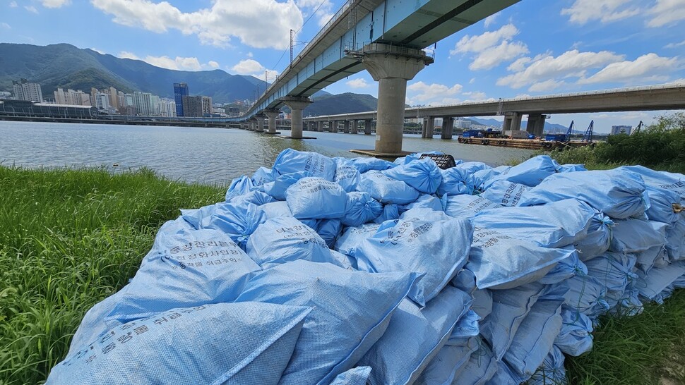 지난 7일 부산 강서구 대저생태공원 수변 산책길에 장마철 낙동강에 떠내려온 쓰레기를 수거한 마대자루가 쌓여 있다. 김영동 기자