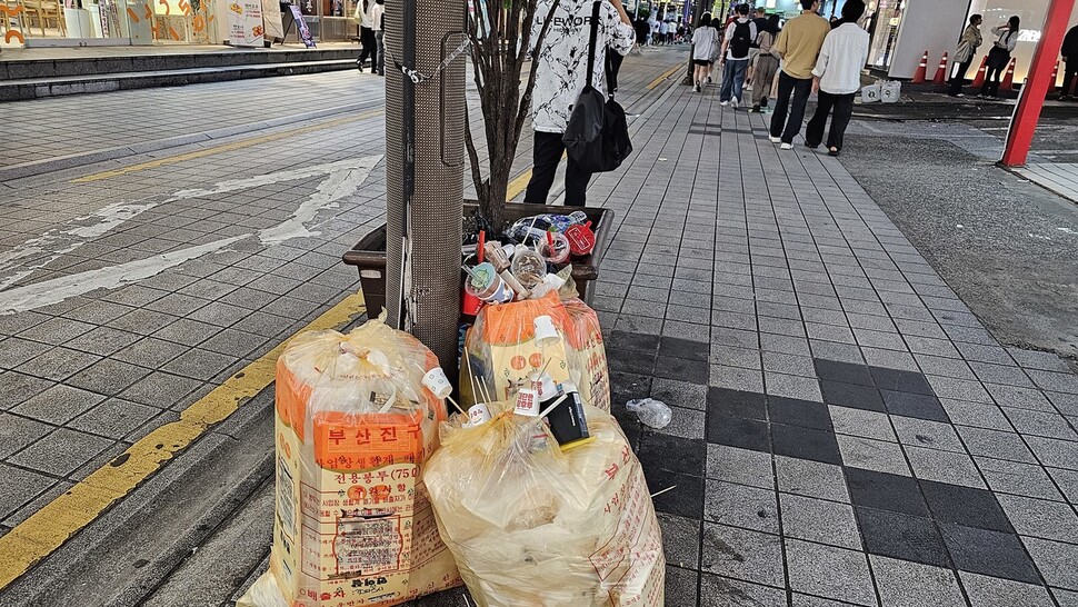 부산 부산진구 서면의 거리 모습. 모아놓은 쓰레기봉투에 탕후루 나무 꼬치가 꽂혀 있다. 김영동 기자