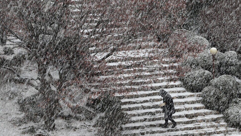 서울 전역에 대설주의보가 발표된 19일 오전 국회에서 한 직원이 의원동산으로 오르는 계단에 제설제를 뿌리고 있다. 김봉규 선임기자 bong9@hani.co.kr