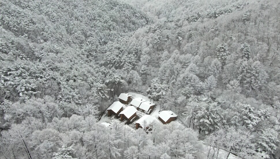 절기상 춘분을 이틀 앞둔 19일 경남 거창군 위천면 금원산 자연휴양림에 많은 눈이 내리면서 봄꽃 대신 눈꽃이 만발해 있다. 연합뉴스