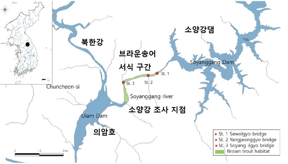 브라운송어 서식지와 조사 지점. 박철우 외 (2022) ‘한국어류학회지’ 제공.