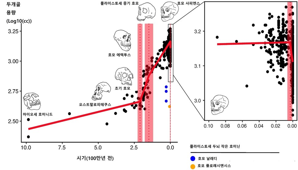 인류의 뇌 용량 진화. 210만년 전 급격한 팽창기가 시작됐고 3000년 전 증가 추세보다 50배나 빠른 축소세로 접어들었다. 오른쪽 확대 그래프는 최근 10만년 동안을 가리킨다. 제러미 데실바 외 (2021) ‘생태학 및 진화 최전선’ 제공.