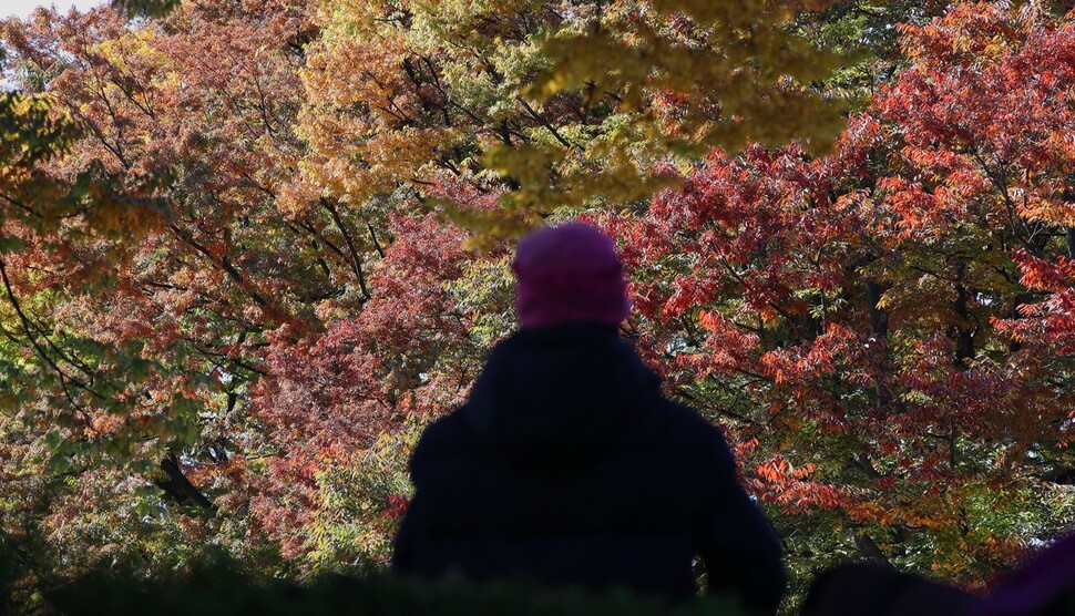 전국 아침 기온이 5도 내외의 초겨울 날씨를 보인 18일 오전 서울 남산 공원에서 한 시민이 두터운 상의와 모자를 쓴 채 가을 단풍을 바라보고 있다. 김봉규 선임기자 bong9@hani.co.kr