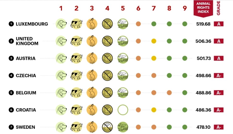 동물권 평가에서 고점을 받은 상위 국가들. 스위프테스트 제공