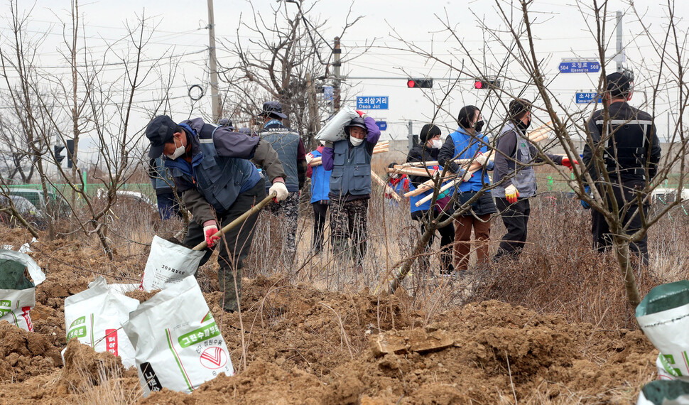 서울환경연합 회원들이 23일 오전 서울 강서구 김포공항 인근 오쇠삼거리 일대에서 ‘제13회 온난화 식목일’ 행사를 진행하며 이팝나무를 심기 전 강서구청 관계자들과 함께 재료를 나르고 있다. 김경호 선임기자