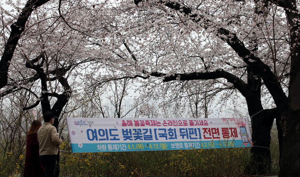 28일 오후 서울 여의도 국회를 둘러싸고 있는 윤중로 벚꽃길에 벚꽃이 피어있다. 박종식 기자