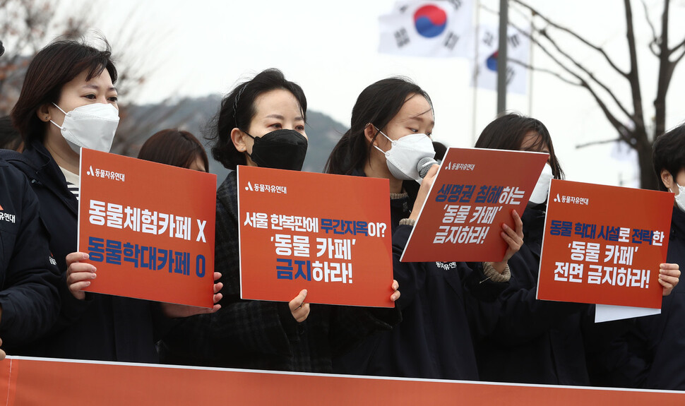 동물자유연대 회원들이 29일 오전 정부서울청사 앞에서 동물 카페를 전면 금지를 촉구하는 기자회견을 하고 있다. 윤운식 선임기자 yws@hani.co.kr