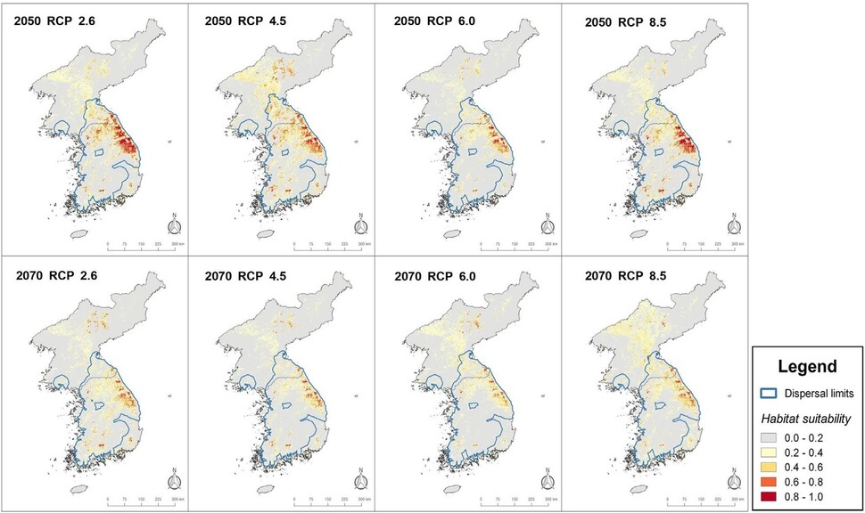 다양한 기후변화 시나리오에서 2050년과 2070년 한국꼬리치레도롱뇽이 살 만한 서식지가 어떻게 변하는지 예측한 결과. RCP 시나리오는 숫자가 작을수록 즉각적이고 강력한 온실가스 감축을 수행하는 경우를 가리킨다. 신 외 (2021) ‘생태학 및 진화’ 제공.