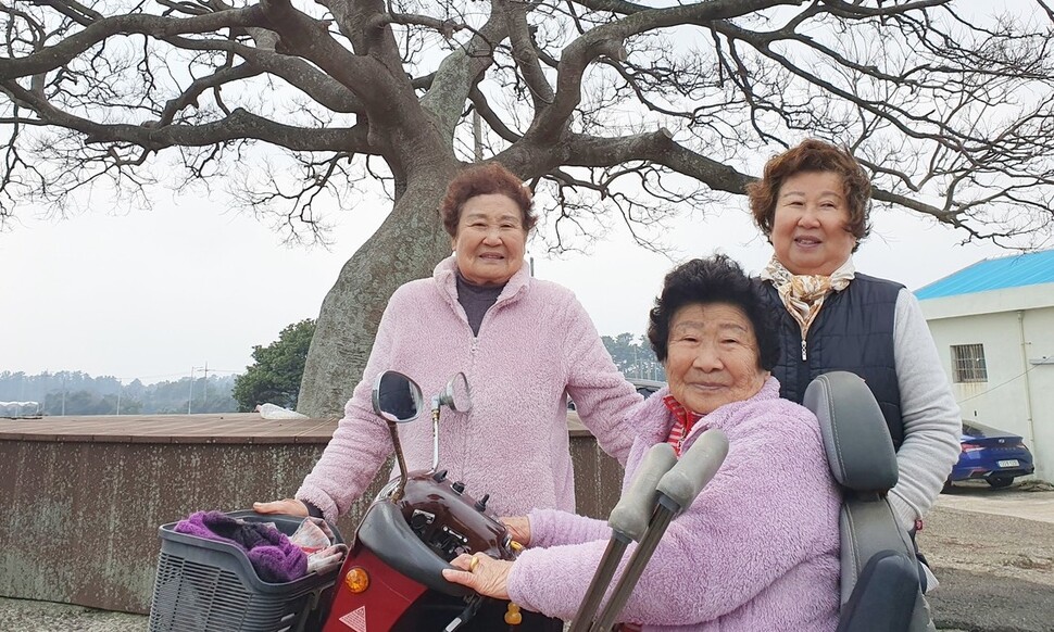 40여년 전 오기숙씨의 남편이 심은 팽나무 앞에서 선 세 자매. 오기숙, 오희숙, 오계숙씨. 허호준 기자