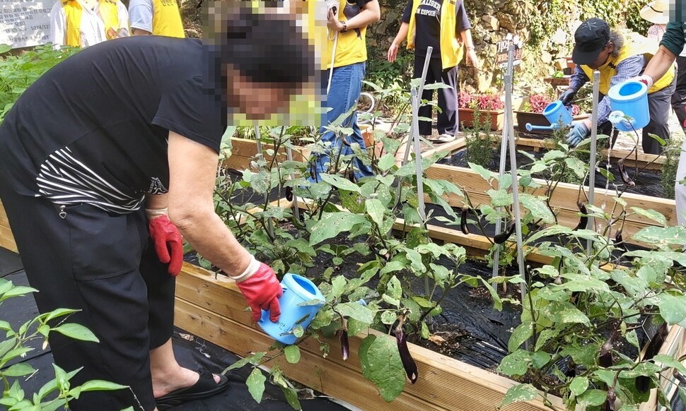 부산 북구 구포동 리버파크반도유보라아파트 맞은편 텃밭에서 ‘기억이 꽃피는 텃밭 가꾸기’ 참여자들이 텃밭에 물을 뿌리고 있다. 김광수 기자