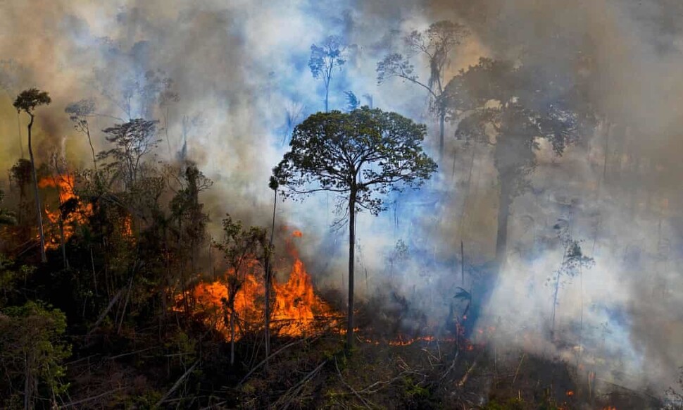 브라질 아마존 숲은 이산화탄소 흡수원에서 배출원으로 바뀌었다. 게티이미지뱅크 제공