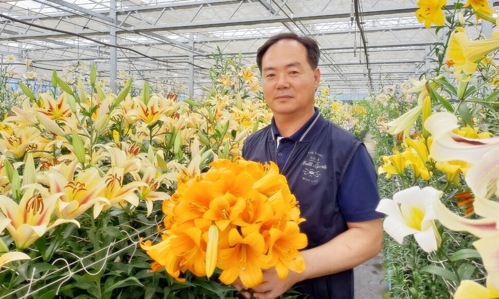 충남농업기술원 화훼연구소 이찬구 박사가 23일 개발한 트럼펫 백합들을 소개하고 있다.